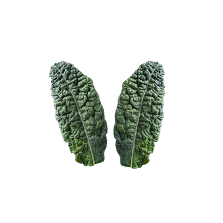 Dinozor Kale Yaprağı